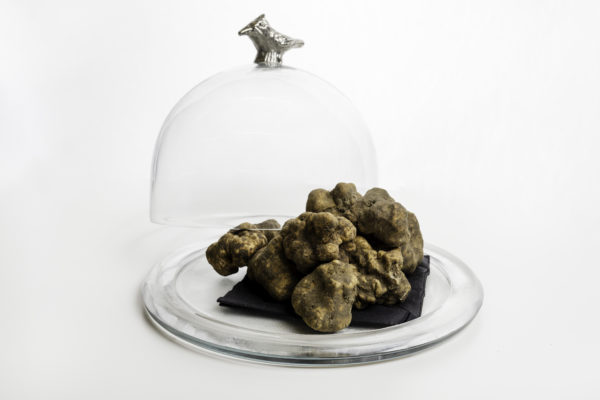 Truffe blanche